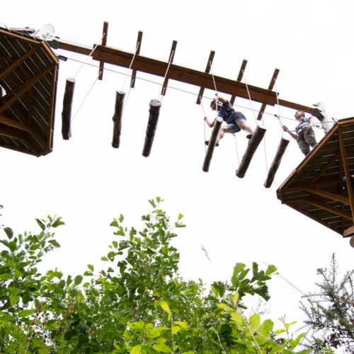 Corporate day out at Hangloose on the Aerial Trek