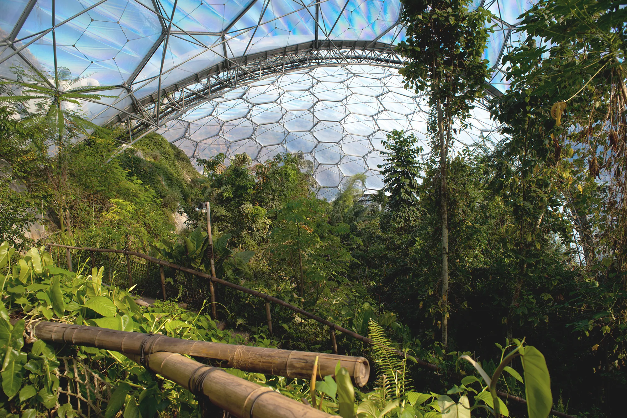 Photo of inside the Eden project at hangloose adventure