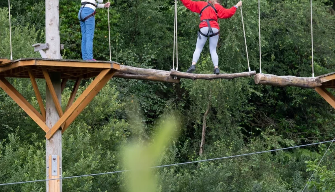 2 people Treetop trekking on the aerial trekking course at bluewater