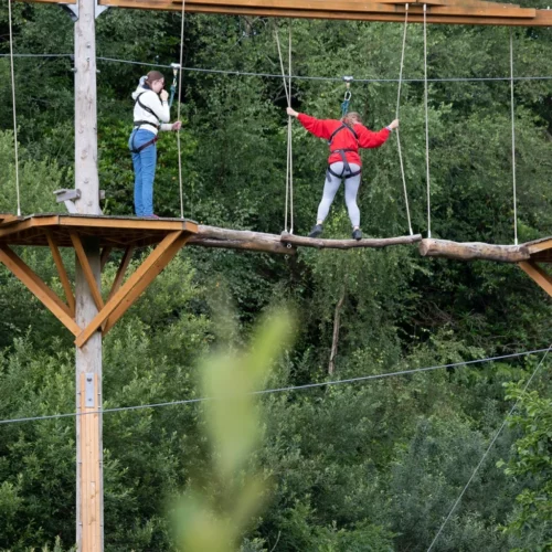 2 people Treetop trekking on the aerial trekking course at bluewater