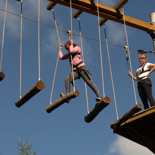 People climbing on the skytrek course at hangloose