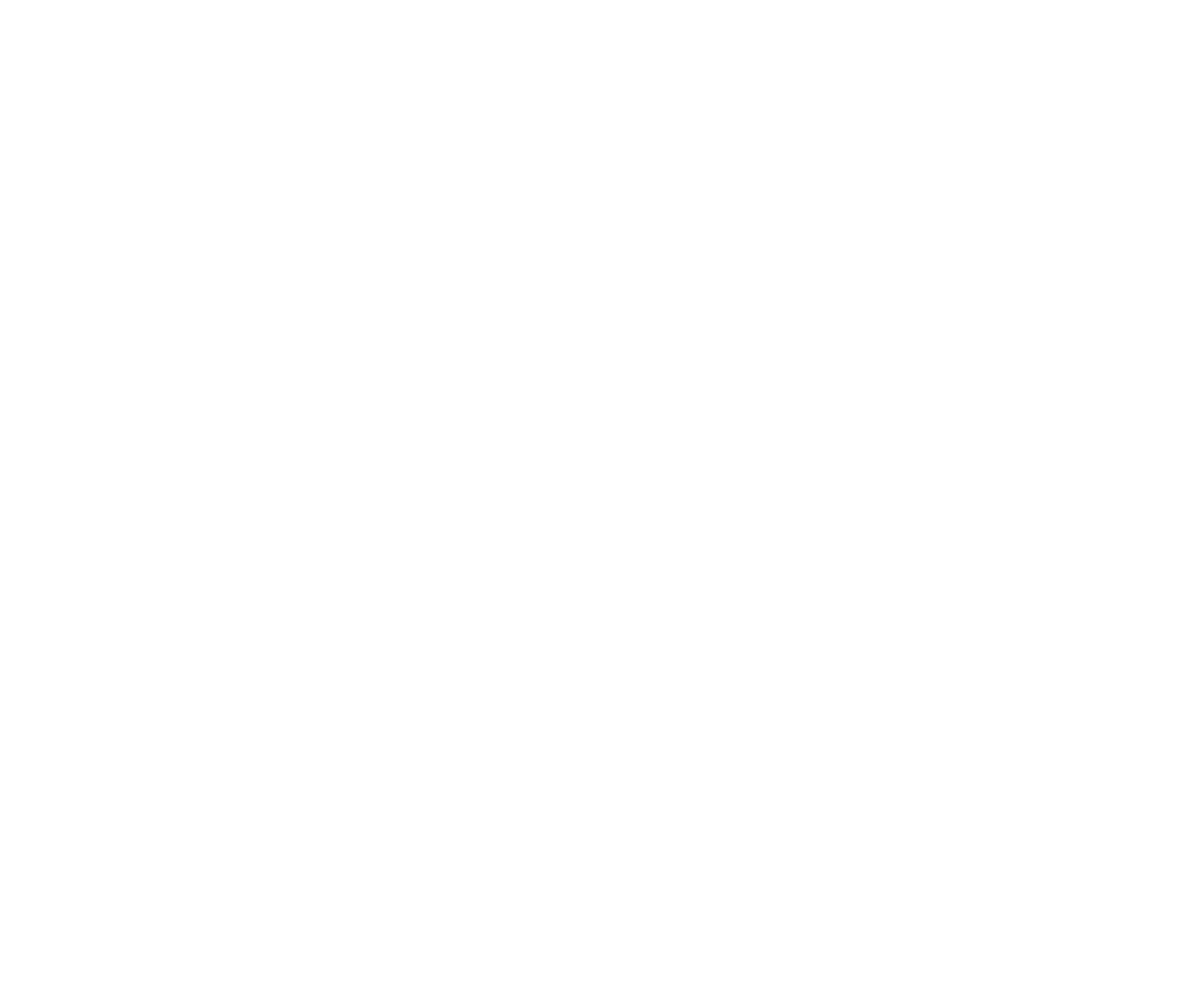 The Wave Logo