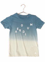 Skydive-Merch-kids-Tee-Ombre