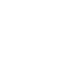 Age (1)